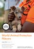 World Animal Protection Nieuws. Zomer 2018 Nummer 117