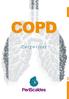 COPD. Zorgwijzer. PeriScaldes