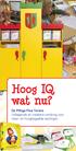 Pittige Plus Torens. Hoog IQ wat nu? De Pittige Plus Torens Uitdagende en creatieve verrijking voor meer- en hoogbegaafde leerlingen.