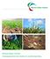 Mineral Valley Twente: Toonaangevend voor bodem en mestverwerking
