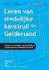 Leren van stedelijke kavelruil in Gelderland