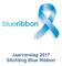 Jaarverslag 2017 Stichting Blue Ribbon