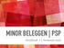 MINOR BELEGGEN PSP. Hoofdstuk 3 Nominale titels