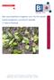 Een soortbeschermingsplan voor de Drijvende waterweegbree (Luronium natans) in Noord-Brabant