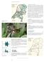 Summary Very common. More common before Various open habitats. wr Kleine slanke zwarte zweefvliegen (5-9 mm) zonder middenknobbel.