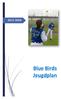 Blue Birds Jeugdplan