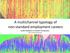 A multichannel typology of non-standard employment careers Lucille Mattijssen & Dimitris Pavlopoulos Vrije Universiteit Amsterdam