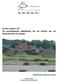 Archeo-rapport 107 De archeologische begeleiding van de werken aan de Rozijnenstraat te Lanaken