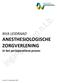 NVA LEIDRAAD. ANESTHESIOLOGISCHE ZORGVERLENING in het perioperatieve proces