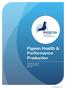 Pigeon Health & Performance Producten. Productbeschrijving Gebruiksaanwijzing Dosering.
