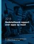 Gedetailleerd rapport over apps op maat