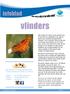 vlinders infoblad Meer informatie van de afdeling NME (Natuur en Milieu Educatie) van Carmabi is te vinden op:
