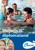 Wegwijs in diplomaland