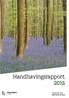 HANDHAVINGSRAPPORT 2015