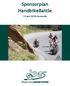 Sponsorplan HandbikeBattle. 14 juni 2018 Oostenrijk