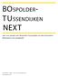 BOspolder- TU ssendijken. plan van aanpak voor Bospolder-Tussendijken als Next Generation Woonwijk en als energiewijk