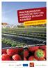 kleinfruit ) Pamel   Europees Landbouwfonds voor Plattelandsontwikkeling: Europa investeert in zijn platteland
