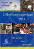 1e Bestuursrapportage 2017