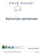 Redactie: Annelien Maebe. CAJO-dossier Bestuurlijke optimalisatie (oktober 2015) Pagina 1/18