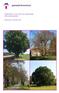 Raamwerk voor een rijk landschap Bomenbeleidsplan. Bronckhorst, november 2016