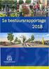 1e bestuursrapportage gemeente Brummen kenmerk INT