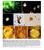 Extra- and intracellular atypical and cys2c forms of spirochetes in the cerebral cortex of a pa2ent with pathologically and serologically confirmed