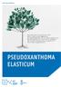 INFO VOOR PATIËNTEN PSEUDOXANTHOMA ELASTICUM