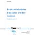 Prestatieladder Socialer Ondernemen