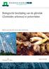 Biologische bestrijding van de glimslak (Zonitoides arboreus) in potorchidee