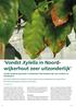 Xylella fastidiosa gevonden in Nederland. Wat betekent dat voor kwekers en handelaren?