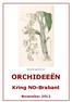 Cycnoches egertonianum ORCHIDEEËN. Kring NO-Brabant