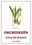 Maxillaria gracilis ORCHIDEEËN. Kring NO-Brabant