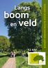 BOMEN WANDELROUTE DOOR GEFFEN. Langs. boom. en veld 12 KM