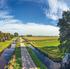 Naar een weerbaar en volhoudbaar laagveenlandschap