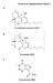 Torres et al. Supplementary Figure 1