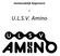 Huishoudelijk Reglement. der. U.L.S.V. Amino