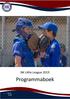 NK Little League Programmaboek