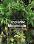 Tropische binnentuin