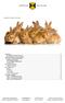 Handboek Rabbitcommissie