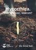 Mycorrhiza. Wat, wanneer, waarom? We Grow Soil. met mycorrhiza. zonder mycorrhiza