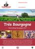 Très Bourgogne. Voorverkoop Bourgogne 2017