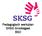 Pedagogisch werkplan SKSG Grootegast BSO