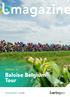 PAGINA 10 Baloise Belgium Tour