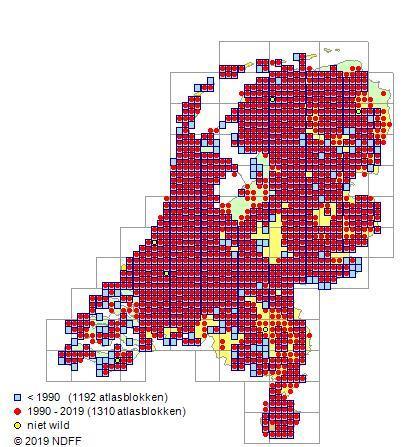 Groeiplaats Waterkanten en water (beken, sloten, brakke poldersloten, greppels, vijvers, plassen, drinkpoelen, vroegere rivierarmen en kanalen), moerassen (rietland, verlandende sloten, drijftillen