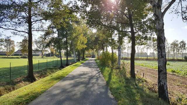 Op de bouwkavel kunt u een woning realiseren die voldoet aan al uw wensen en eisen. Daarbij dient u zich wel te houden aan de voorschriften die onderdeel uitmaken van het bestemmingsplan.