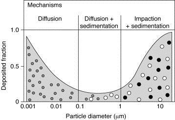 Deeltjesdepositie d in µm cumulative vd in cm/s Typical cumulative particle size distribution in number/m 3 Particle deposition rate C*vD in number/dm2/hr 0.3 0.003 5,867 0.6 0.5 0.
