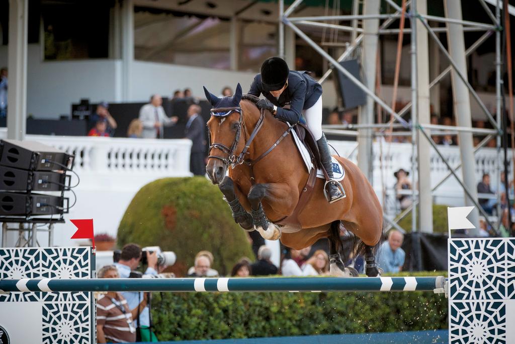 Moeder Pupiblue du Ruisseau gaf naast Chat Botte du Ruisseau Z nog meer succesvolle springpaarden, waaronder de topmerrie Heidi du Ruisseau Z (v.heartbreaker) van Edwina Tops-Alexander.