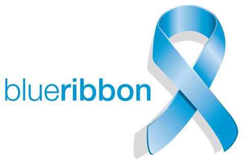 Beleidsplan Stichting Blue Ribbon 2017-2018