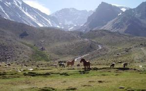 De Cordon del Plata is een ideaal gebied om enkele dagen te acclimatiseren voor de start van de Aconcagua beklimming.