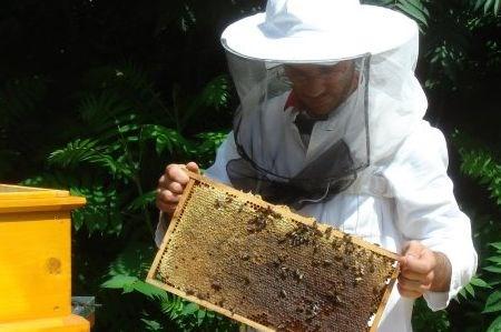 de imker Een imker is iemand die bijen houdt. Hij haalt de honing uit de raten.